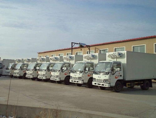 专业冷链，可靠直达 上海至莱西冷藏车运输服务详解